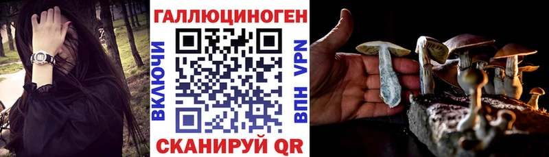 где найти наркотики  Биробиджан  Псилоцибиновые грибы Psilocybe 