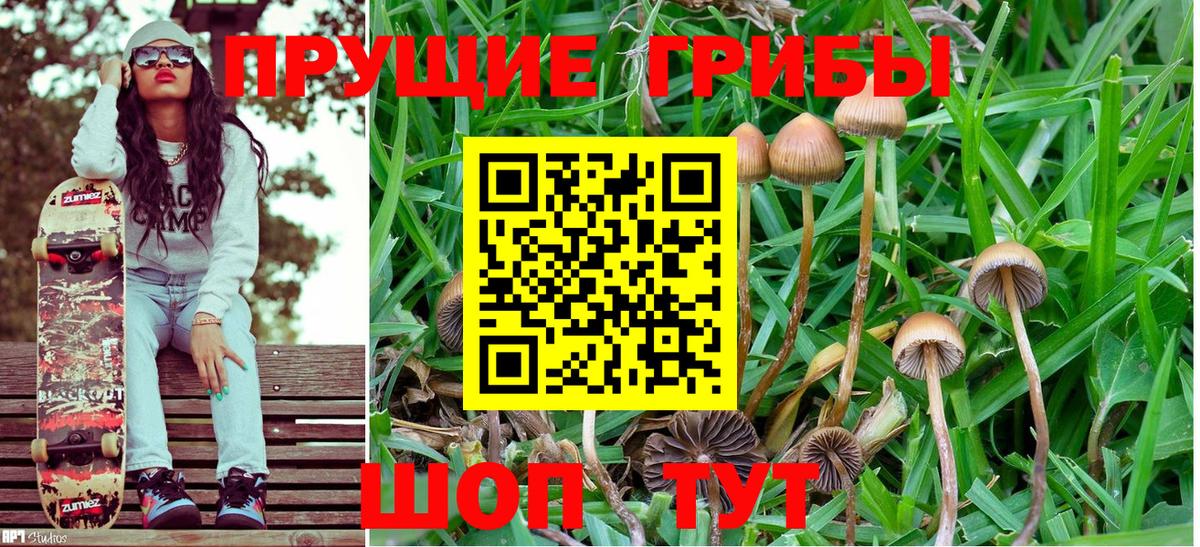 Галлюциногенные грибы GOLDEN TEACHER  Псилоцибиновые грибы мухоморы  Вход с VPN  Биробиджан 